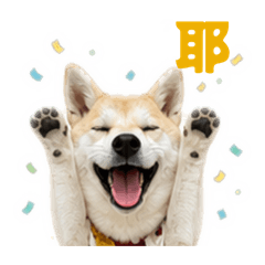 Kocha的日常語錄