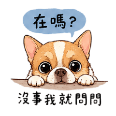 一隻吉娃娃的日常2