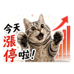 胖虎股市 衝衝衝