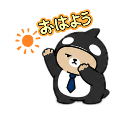 Shachikkuma Studio_20260505031112