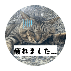 hiroko_20260505055202
