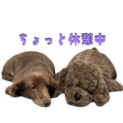 rin_20260505142421