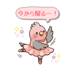 tsumomi_20260505142728