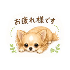mi-chan_20260505143454