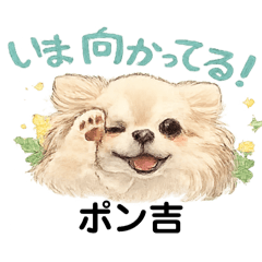 aikobunny_20260505153309