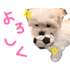sa_20260505152736