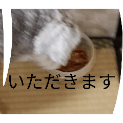 SABOCH_20260505154314