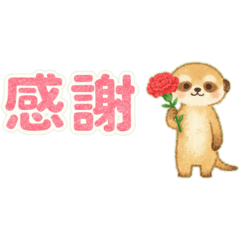 Furura_20260505154047