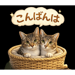 Ryo_20260505154122