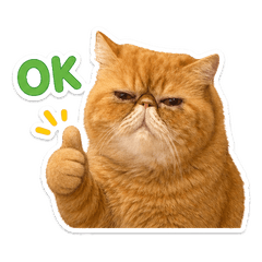 Kinako-san's Everyday Stickers