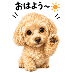 Sweet Maltipoo Daily Stickers