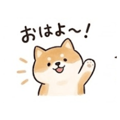 - Daily Chat Stickers shibata -