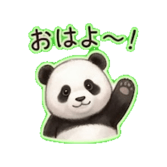 shibata - Daily Chat Stickers
