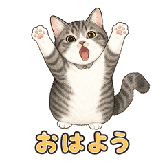 Lucky Tail Cat 2