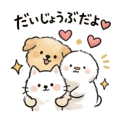 可愛い白い犬の日常