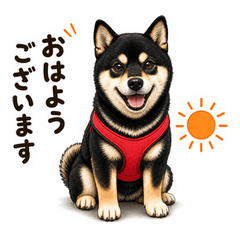 Ruta Daily Stickers