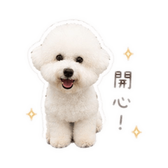 Cargo的小小世界