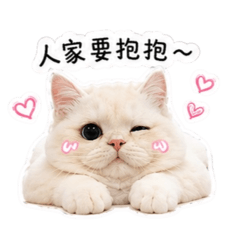 嘎咪喵2