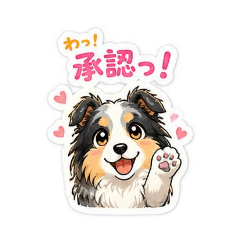 sheltietoa2