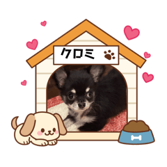 tora.hime_20260505071104
