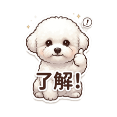 Masao_20260505065050