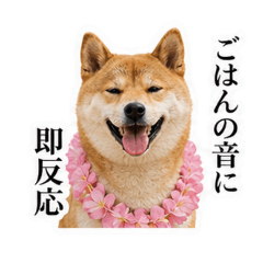 ten_20260505143129