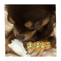 reeei_20260505152110