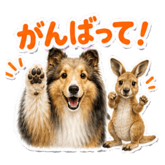 Fluffy Sheltie Daily Dog Stickers