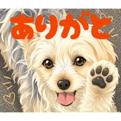 SHARKDOG_20260505160759