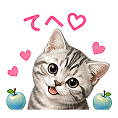 AYUMI_20260505161825