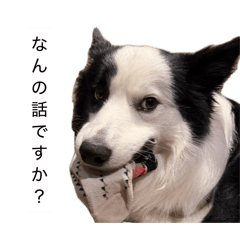 cooc_20260505161909