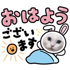 Yappy_20260505161955