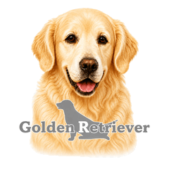 Golden Retriever Ludy