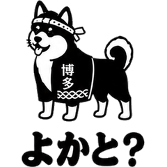 Hakata Dog Daily Stickers