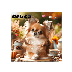 lalachan_20260505161532