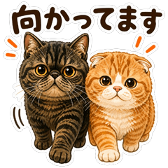Mozuku and Azuki Daily Cat Stickers