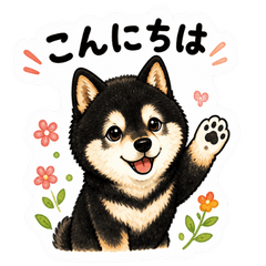 Everyday Cozy Black Shiba Replies