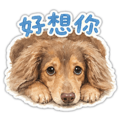 ChuChu啾啾