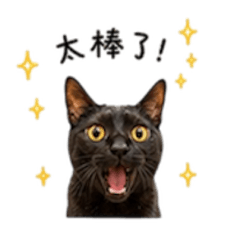 咪寶、冒冒、小胖宅