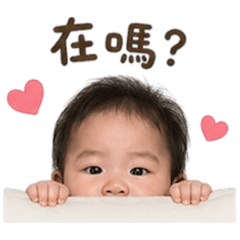 霏常可噯