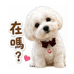 樂樂Q狗狗