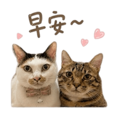 花姐旺妹