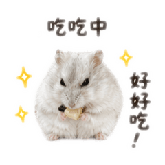 我是小薯