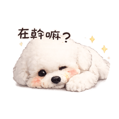 小七七七七baby
