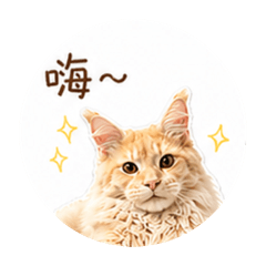 可愛小波寶