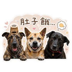 黑寶小黑巧虎の日常 先吃再說