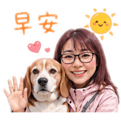 我的可愛人生