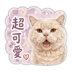 夢幻的貼圖