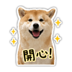 ㄉㄨㄞ の日常