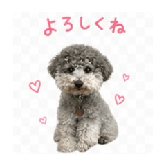 nobu&nagi_20260505071630